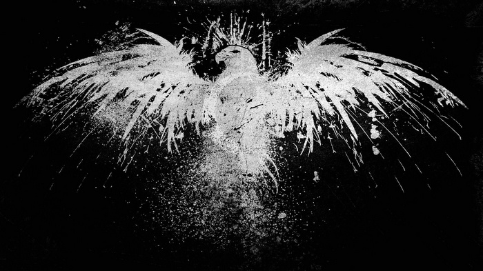 White eagle with spread wings on black background
