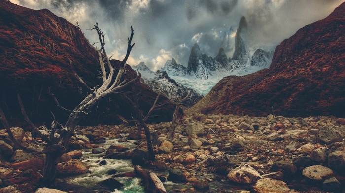 Rocky mountain landscape with dead trees and river