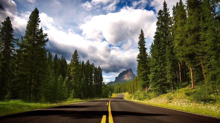 Road through a pine forest towards a mountain in Canada