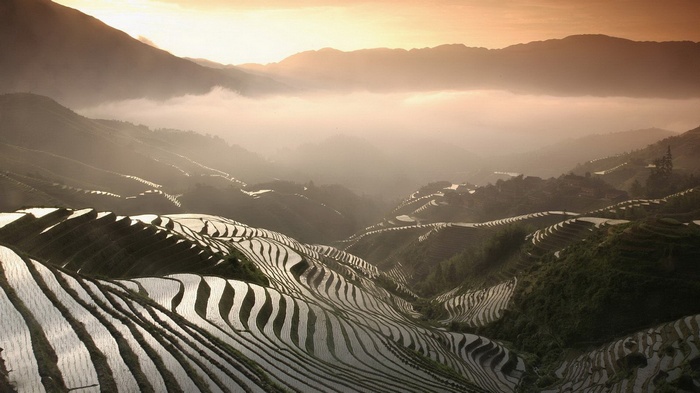 Terraced rice fields in the mountains at sunrise