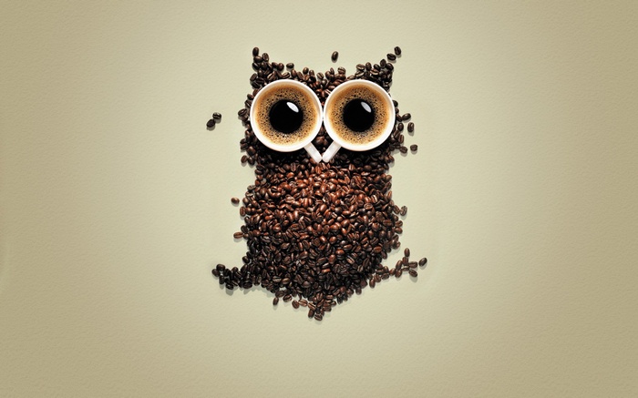 Owl made of coffee beans and cups