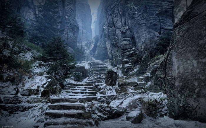 Snowy mountain pass with stone stairs and trees