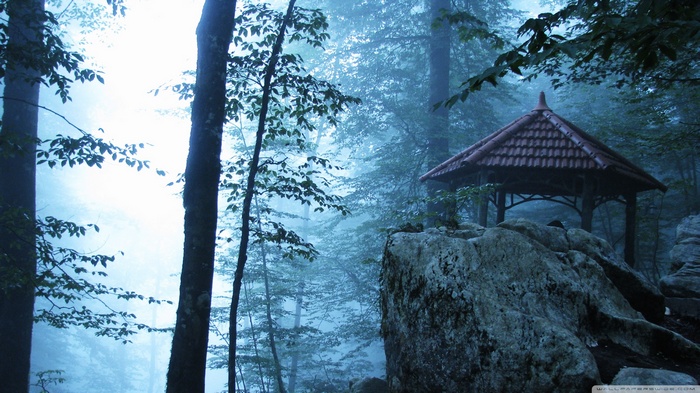 Pagoda in a misty forest with rocks