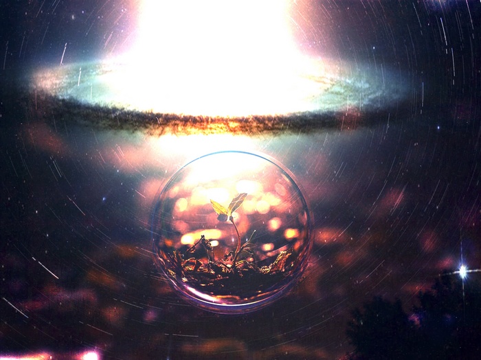 A plant grows in a bubble in space