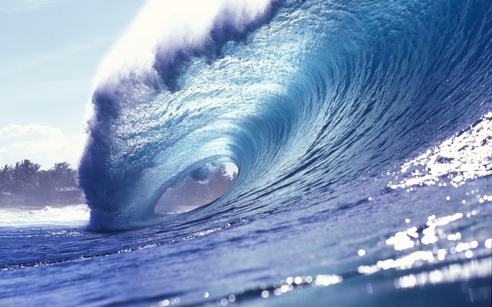 A large ocean wave barrels in the sea