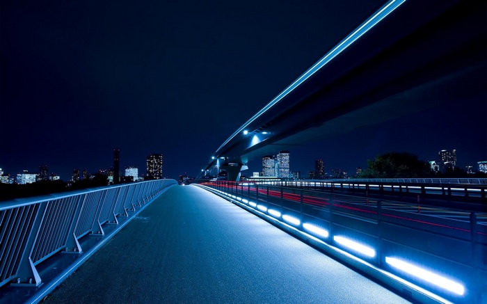 Cityscape at night with a bridge and light trails