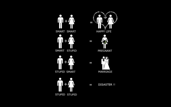Relationship Equations: Smart, Stupid, Pregnant, Marriage, Disaster