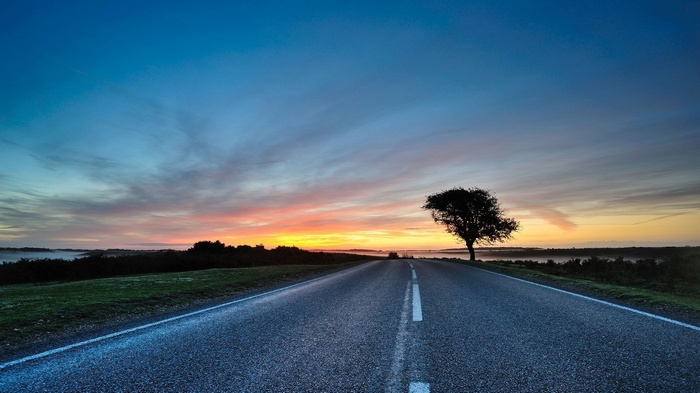 Road at sunset with a lone tree