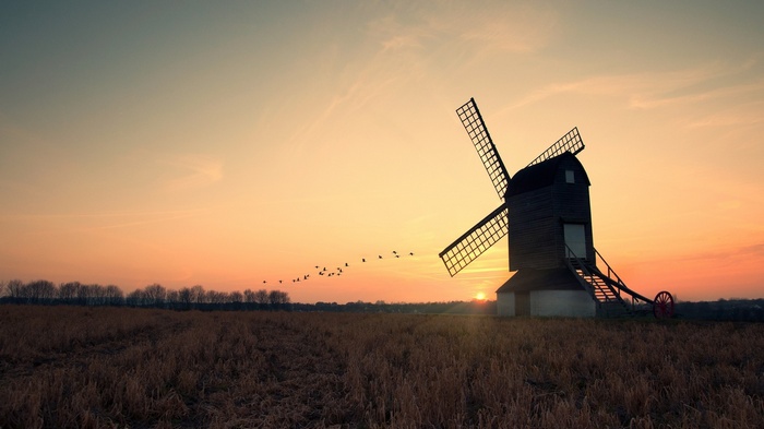 Windmill at sunset with birds flying