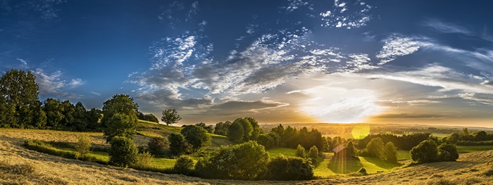 Panoramic landscape of rolling hills and trees at sunset