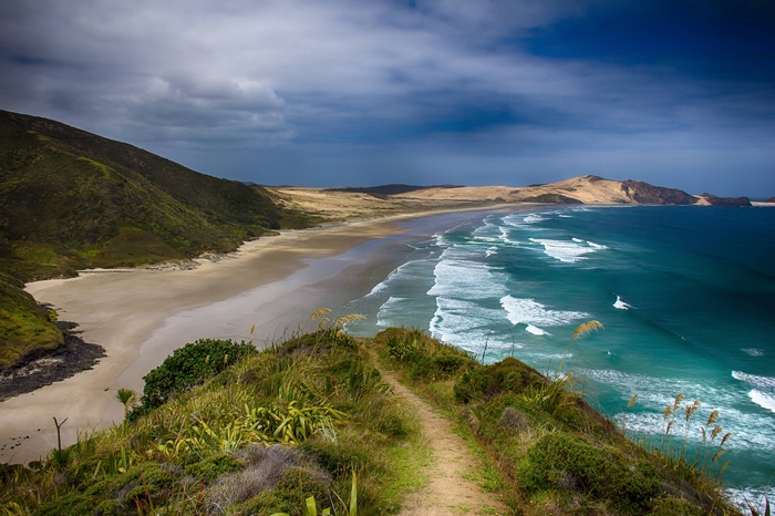 Scenic coastal view of a beach and ocean in New Zealand