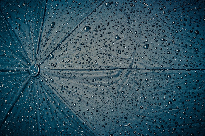 Close-up of water droplets on a dark blue umbrella