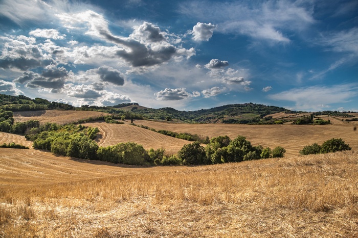 Golden fields and green hills under a cloudy blue sky