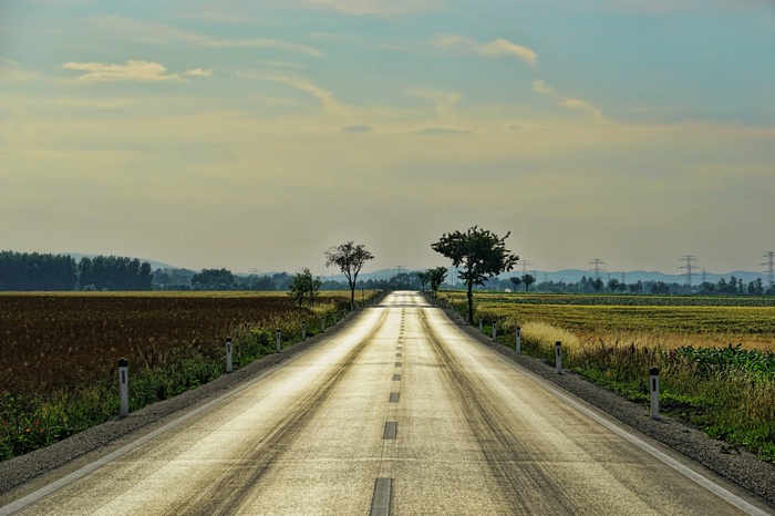Asphalt road stretching through a rural landscape with trees