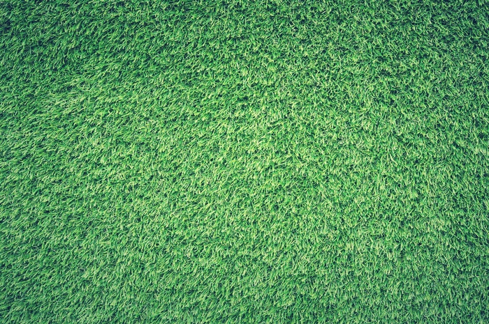 Green grass texture background