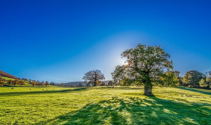 Sunshine over a green landscape in Yorkshire