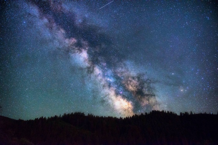 Milky Way galaxy over a dark forest silhouette