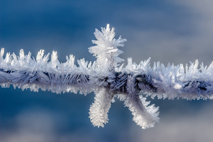 Close-up of frost crystals on a wire