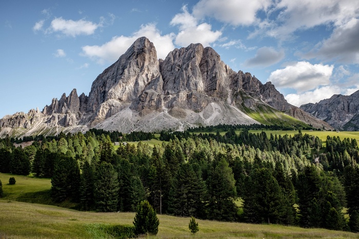 Majestic mountains rise above a dense evergreen forest