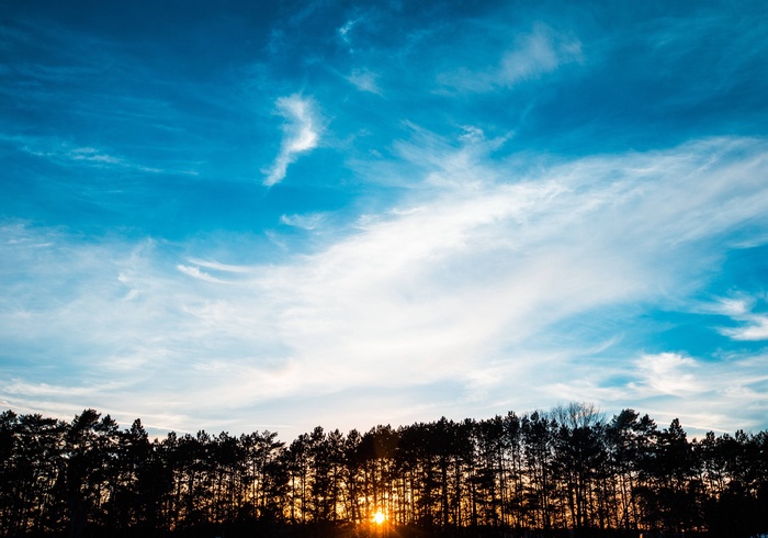 Sunrise over a silhouetted forest under a blue sky