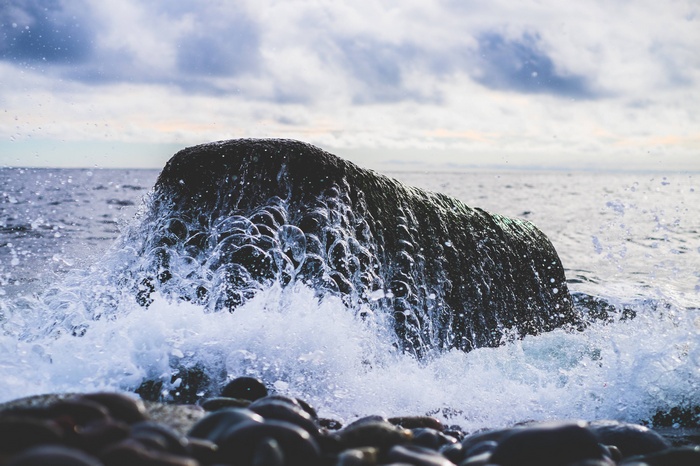 Wave crashing against a dark rock in the ocean