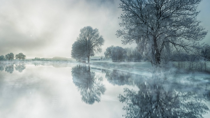 Misty winter landscape with trees reflected in water