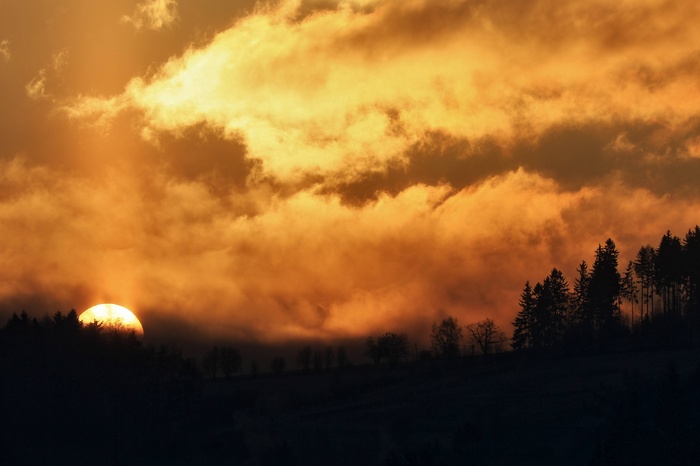 Sunrise over a dark forest silhouette