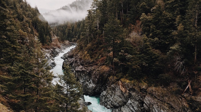 River flowing through a misty forest gorge