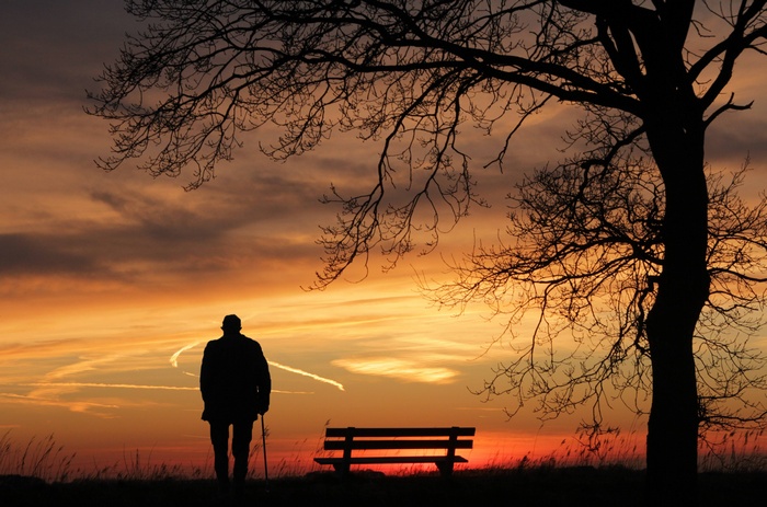 Silhouette of Man Near Bench and Tree at Sunset