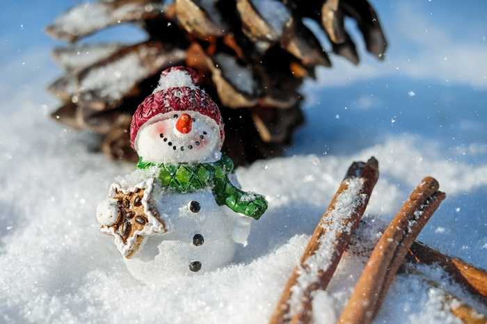 Snowman with star cookie in the snow