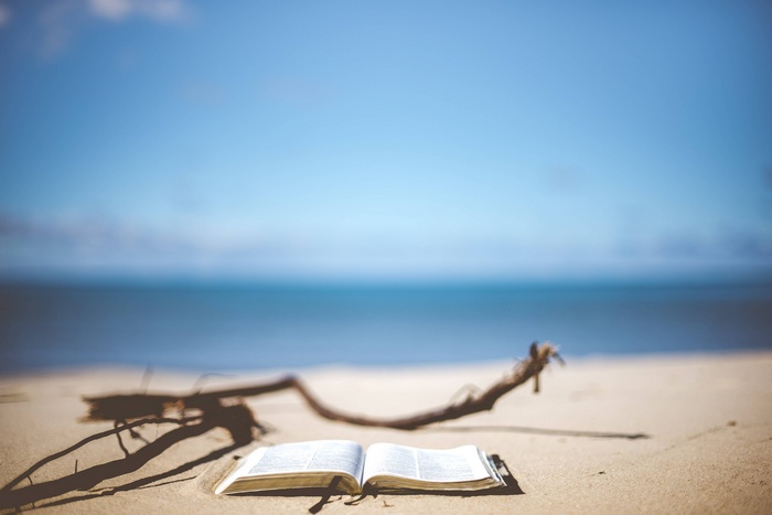 Open book on a sandy beach with driftwood and ocean background