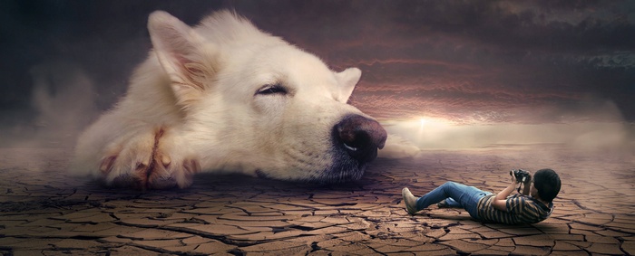 Surreal photomontage of a giant sleeping dog and a photographer