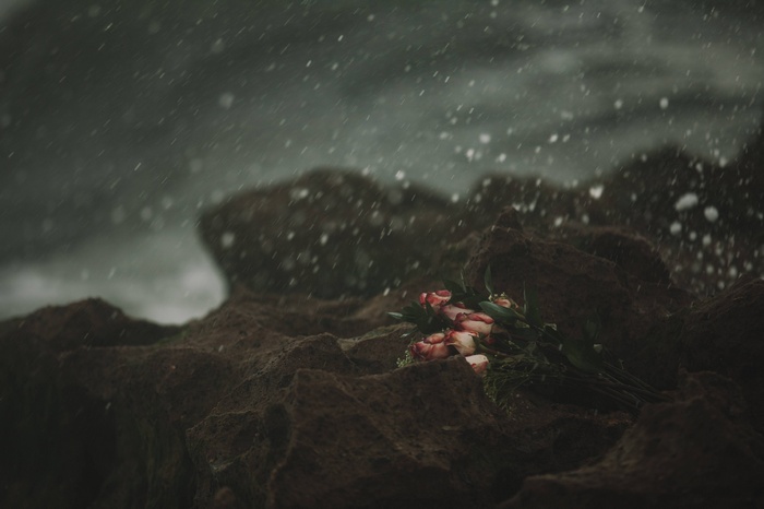 Bouquet of roses on rocks in the rain