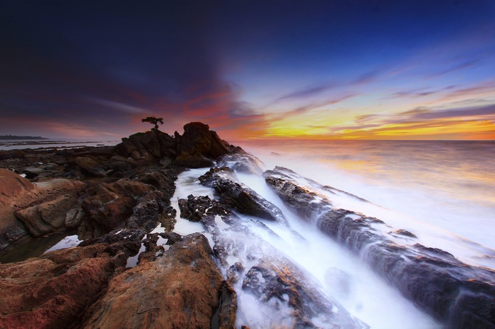 Rocky coast with a lone tree at sunset