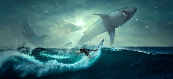 Surfer attacked by sharks in the ocean