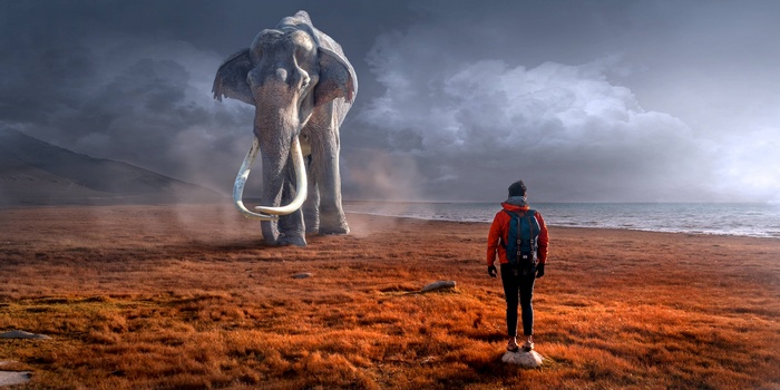 Man and elephant on a desolate landscape