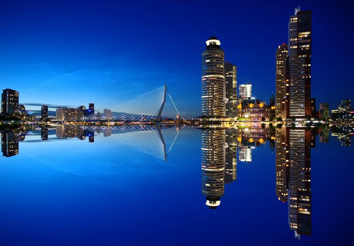 Rotterdam skyline with Erasmus Bridge at night