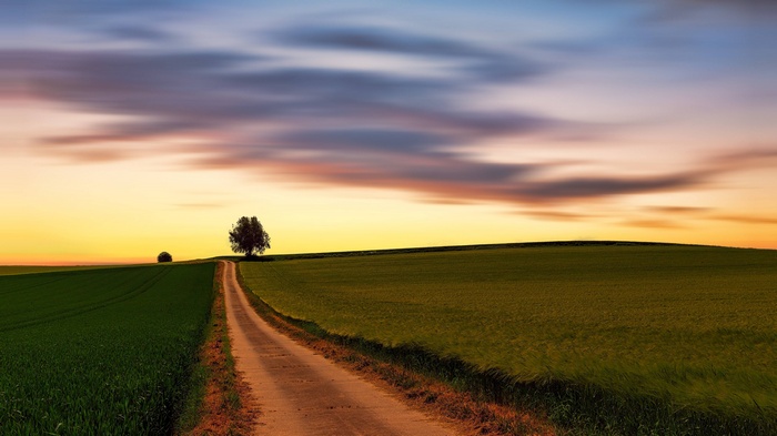 Dirt road through fields at sunset