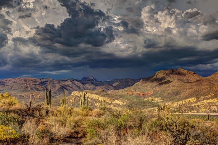 Desert landscape with saguaro cacti under stormy clouds