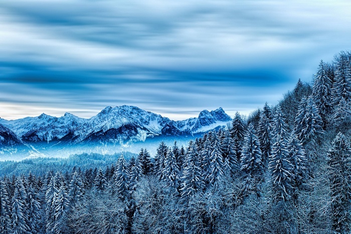 Snowy mountain range with pine forest in winter