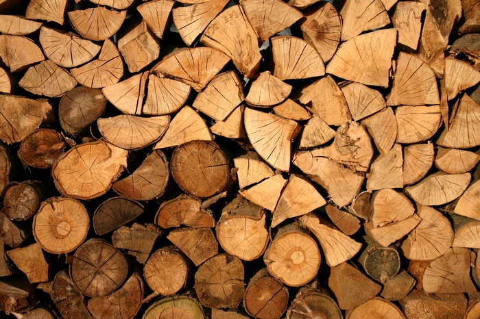 Pile of cut logs for firewood