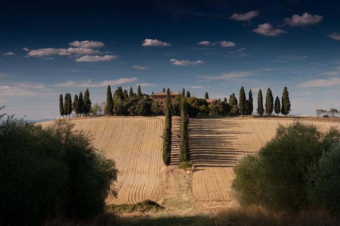 Tuscan Farmhouse with Cypress Trees and Fields