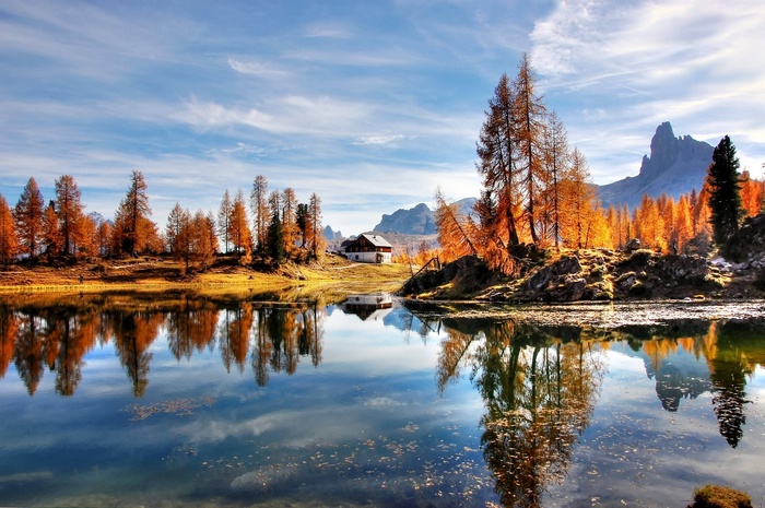 Autumn trees reflected in a lake in the Dolomites, Italy