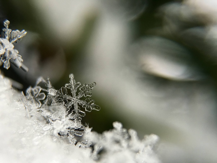 Close-up of a delicate snowflake on snow