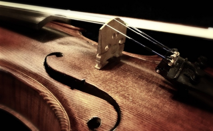 Close-up of a violin bridge and strings