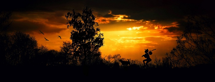 Silhouette of a wanderer and dog at sunset