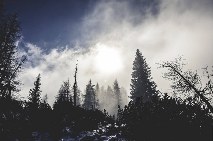 Misty forest with snow and clouds
