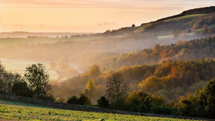 Misty valley with autumn trees at sunrise