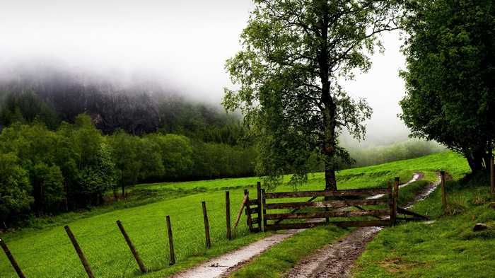 Dirt path through a green field with a wooden gate