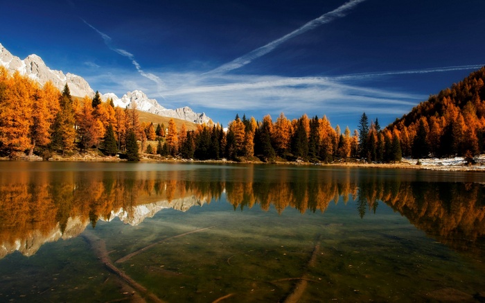 Autumn forest reflected in a mountain lake